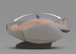 Fujiiryoki Cyber Relax Elite Massage Chair